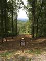 Lot 161 Falls Parkway & Cottage Row - Photo 1