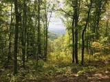 Lot 161 Falls Parkway & Cottage Row - Photo 2
