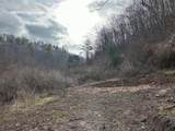 Crk Tract Little Wolf Creek - Photo 13