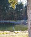 Lot 9 Whisper Estates - Photo 28