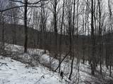  Tract 3 Big Spring Of Elk, - Photo 7