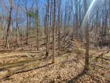 Tbd Green Valley Rd - Photo 18