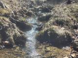 Tbd Green Valley Rd - Photo 5