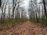 3641 A & B Second Creek Rd - Photo 52
