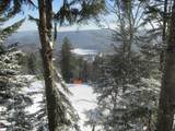 8 Stemwinder Ii - Photo 22