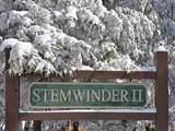 8 Stemwinder Ii - Photo 41