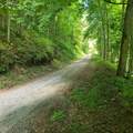  Deeter Ridge Rd - Photo 9