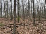 0 Rattle Snake Rd - Photo 6