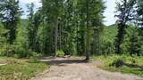 3508 Potomac Highlands Trial - Photo 11