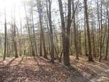 3508 Potomac Highlands Trial - Photo 3