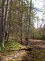 3508 Potomac Highlands Trial - Photo 47