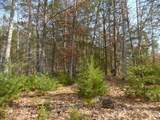 3508 Potomac Highlands Trial - Photo 48