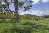 1170 Arbuckle Ln - Photo 15