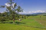 1170 Arbuckle Ln - Photo 4
