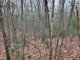  Wildcat Hill Rd - Photo 30