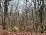  Wildcat Hill Rd - Photo 8