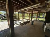 116 Alligator Ln - Photo 40