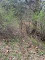 821 Belleview Road - Photo 47