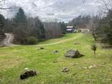 821 Belleview Road - Photo 57