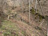 821 Belleview Road - Photo 7
