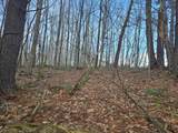 4194 Slab Camp Rd - Photo 17