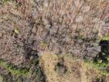 4194 Slab Camp Rd - Photo 7