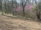 Tract 1 River Hills Farm Drive - Photo 10