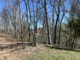 Tract 1 River Hills Farm Drive - Photo 13