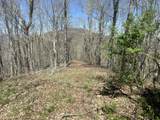 Tract 1 River Hills Farm Drive - Photo 15