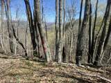 Tract 1 River Hills Farm Drive - Photo 16