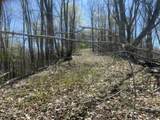 Tract 1 River Hills Farm Drive - Photo 17