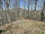 Tract 1 River Hills Farm Drive - Photo 18