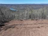 Tract 1 River Hills Farm Drive - Photo 19