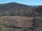 Tract 1 River Hills Farm Drive - Photo 22