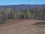 Tract 1 River Hills Farm Drive - Photo 23