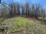 Tract 1 River Hills Farm Drive - Photo 26