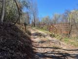 Tract 1 River Hills Farm Drive - Photo 28