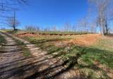 Tract 1 River Hills Farm Drive - Photo 29