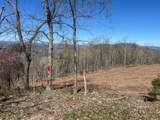 Tract 1 River Hills Farm Drive - Photo 31