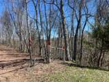 Tract 1 River Hills Farm Drive - Photo 32