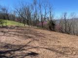 Tract 1 River Hills Farm Drive - Photo 33