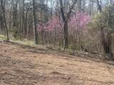 Tract 1 River Hills Farm Drive - Photo 34