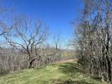 Tract 1 River Hills Farm Drive - Photo 4