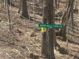 Tract 1 River Hills Farm Drive - Photo 6