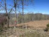 Tract 1 River Hills Farm Drive - Photo 9