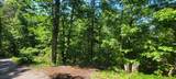 Lot 58 White Rock Trail - Photo 11