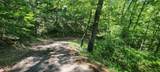 Lot 58 White Rock Trail - Photo 9