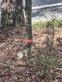  S At Rt 8 - Photo 25