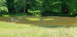 3672 Blue Sulphur Pike - Photo 10