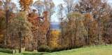 3672 Blue Sulphur Pike - Photo 11